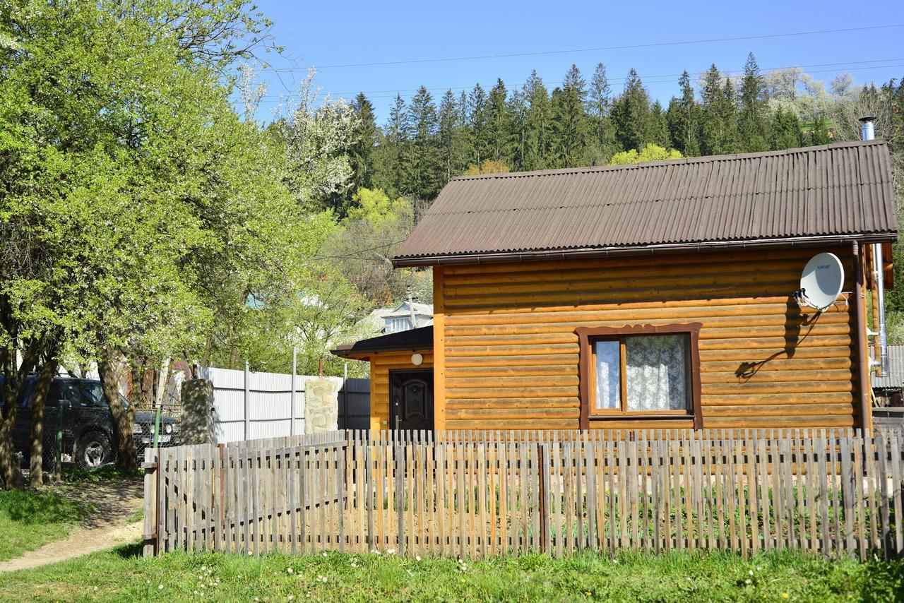 Хатина В Карпатах Villa Verkhovyna Luaran gambar